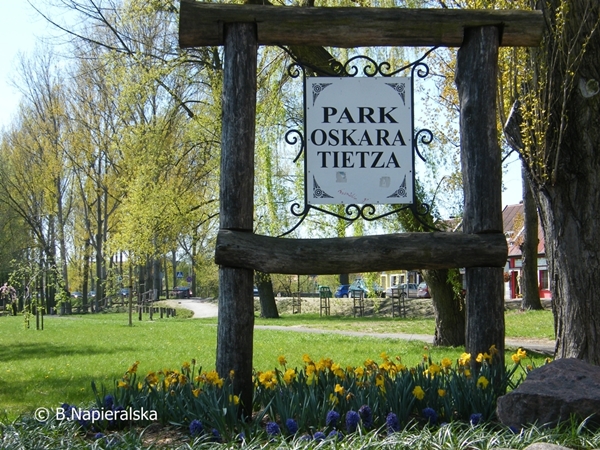 Miedzychód wiosna